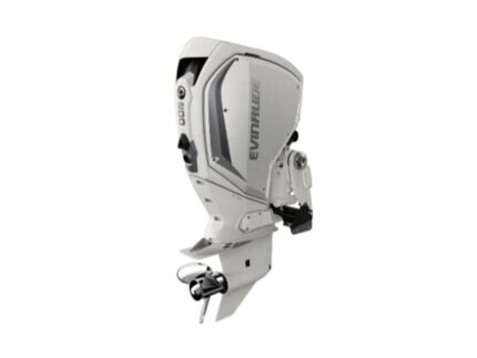 Evinrude C200WXC 200 HP Outboard Motor