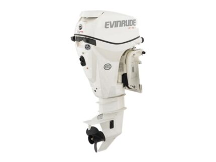 Evinrude E15HPGX E TEC Outboard Motor