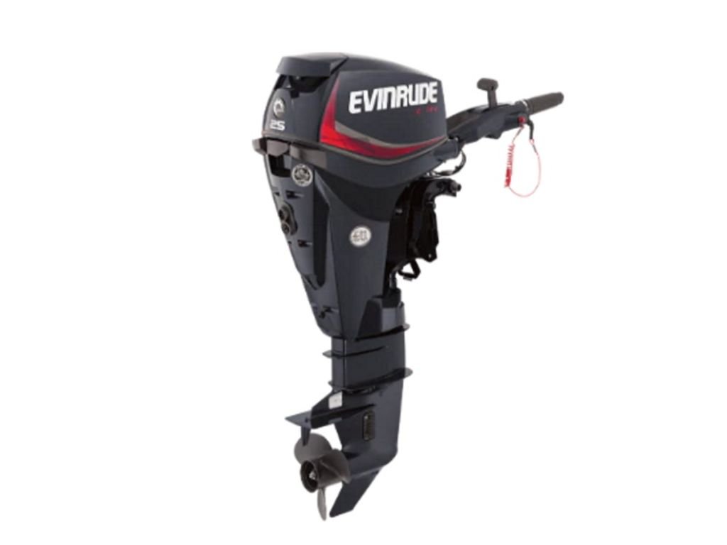 Evinrude-E25GTEL.jpg