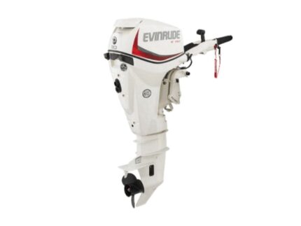Evinrude E30DGTL E TEC Outboard Motor