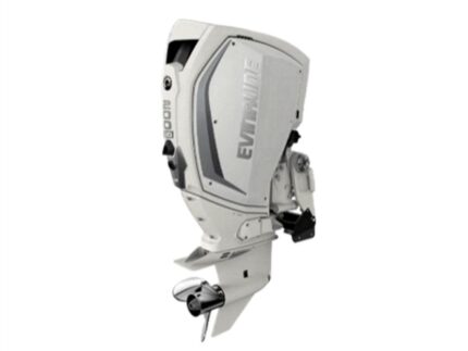 Evinrude H200HWLF 200 HO Outboard Motor