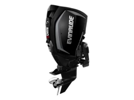 Evinrude H250HGXA 250 HO Outboard Motor
