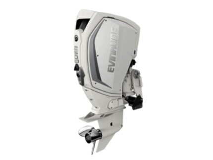 Evinrude H250HWLF 250 HO Outboard Motor