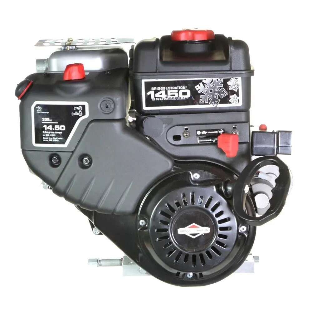 Briggs-Stratton-Snow-Engine-20M312-3007-F1-1000x1000-1